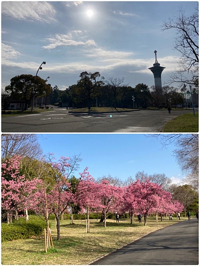 花博記念公園鶴見緑地