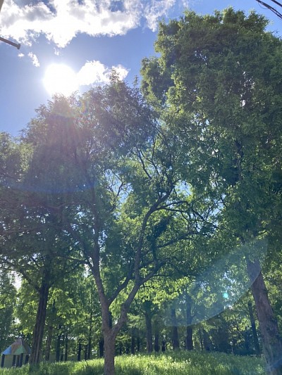 太陽の光