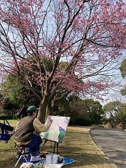 桜3