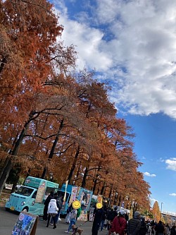 せせらぎマルシェ